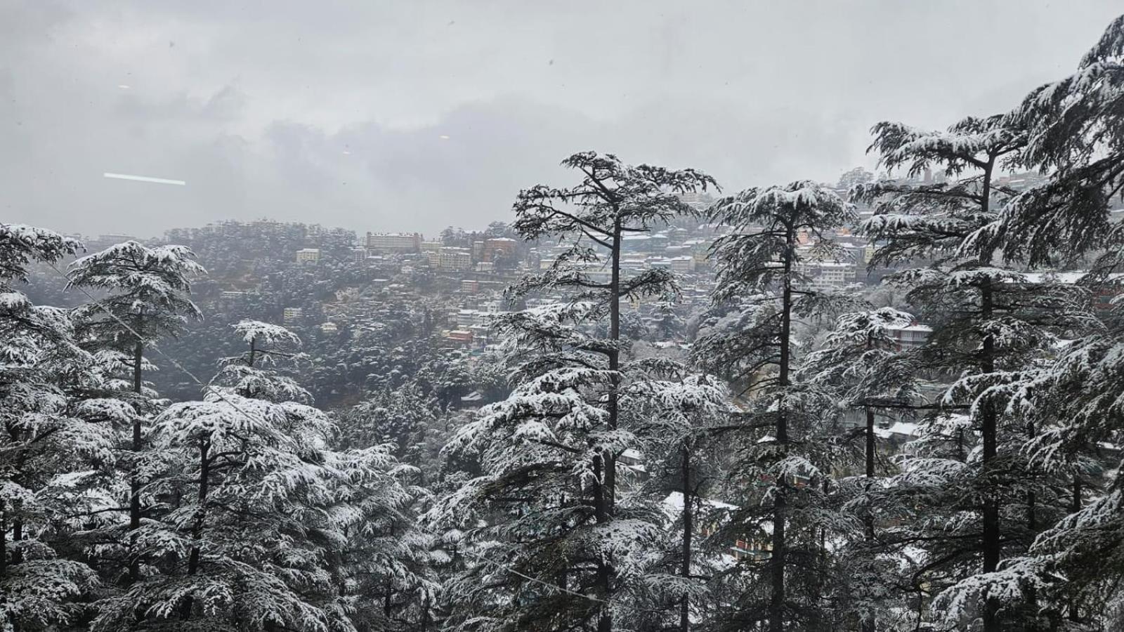 Mountain Zest- Simla Royale Near Mall Road Free Pickup From Railway Station Simla Екстер'єр фото